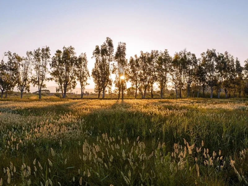 Grecotel LUXME Costa Botanica – Görögország / Korfu / Acharavi (Insel Korfu)