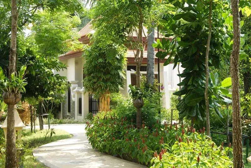 Medencés trópusi kert a Duangjitt Resort & Spa phuketi szállodában